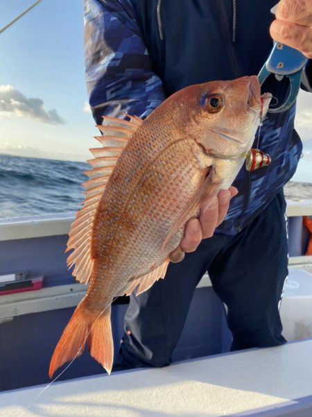 新幸丸 釣果