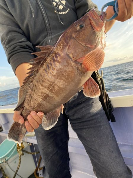 新幸丸 釣果