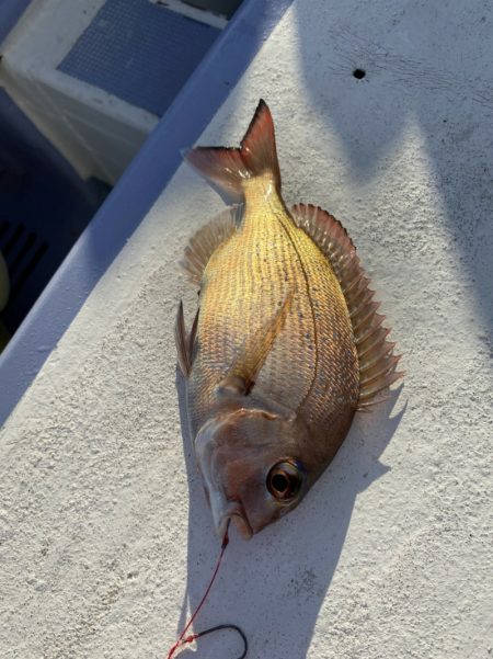 新幸丸 釣果