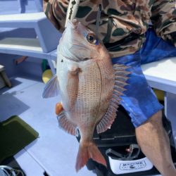 新幸丸 釣果