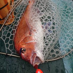 鷹王丸 釣果