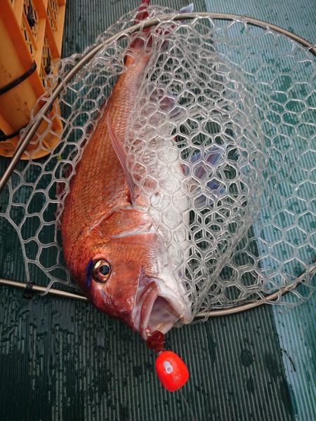 鷹王丸 釣果