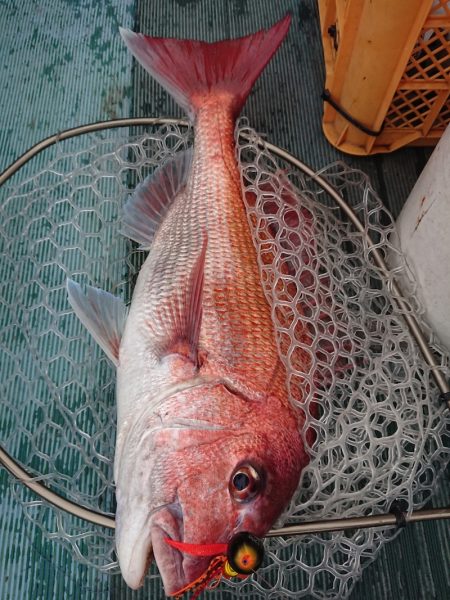 鷹王丸 釣果