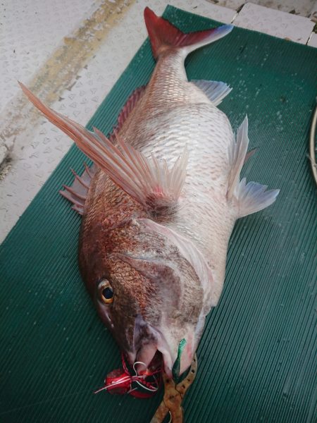 鷹王丸 釣果