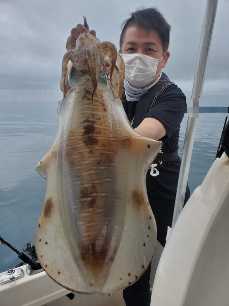 ソルトウォーターガイドフレンズ 釣果