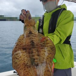 ソルトウォーターガイドフレンズ 釣果