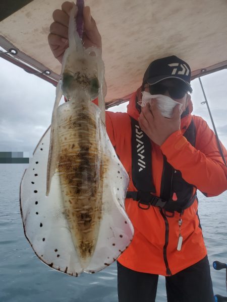 ソルトウォーターガイドフレンズ 釣果