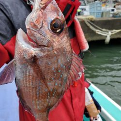 富士丸 釣果