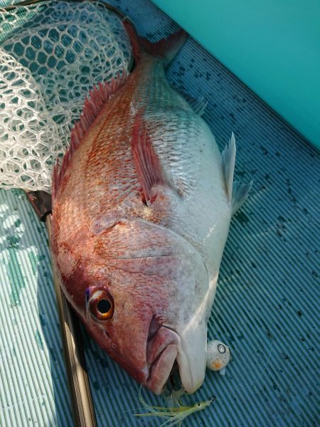 鷹王丸 釣果