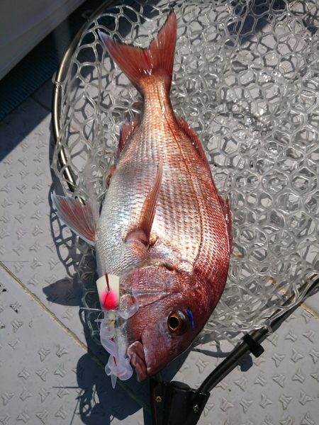 鷹王丸 釣果