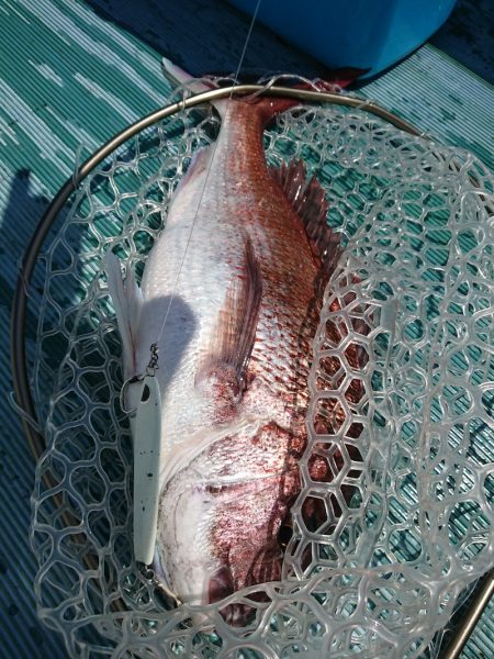 鷹王丸 釣果