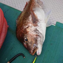 鷹王丸 釣果