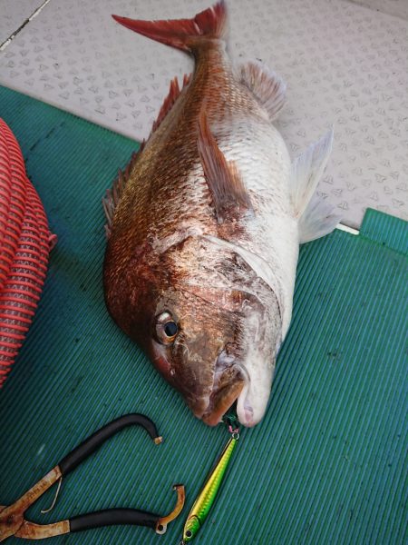 鷹王丸 釣果