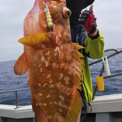 光生丸 釣果