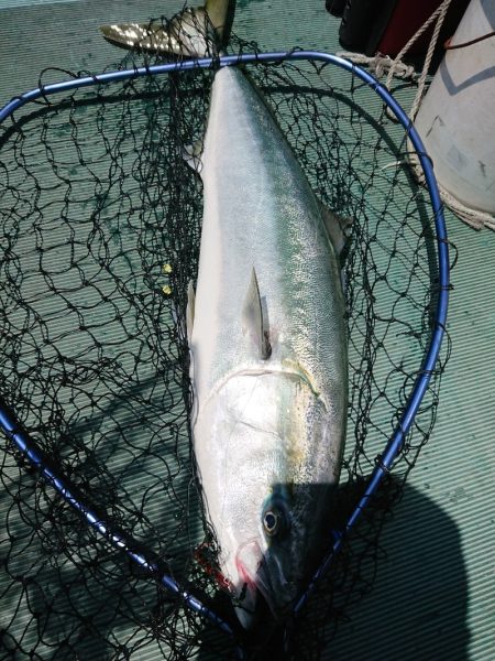 鷹王丸 釣果