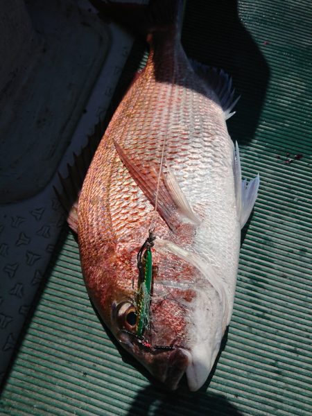 鷹王丸 釣果