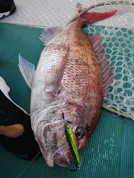 鷹王丸 釣果