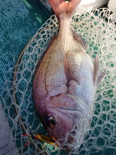 鷹王丸 釣果