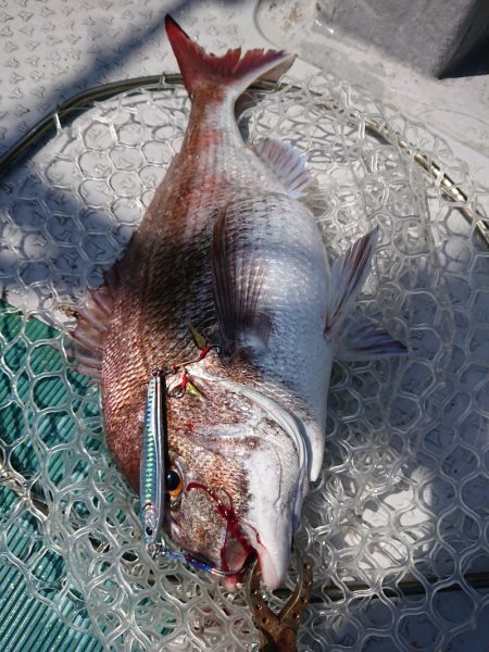 鷹王丸 釣果