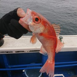 清和丸 釣果