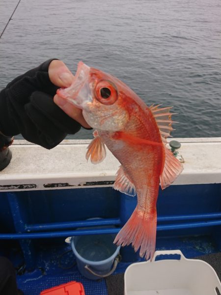 清和丸 釣果