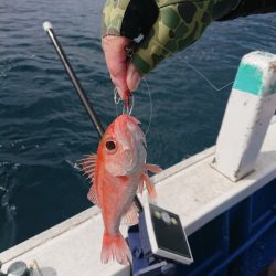 清和丸 釣果