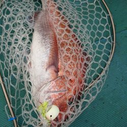 鷹王丸 釣果