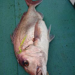 鷹王丸 釣果