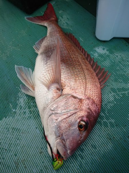 鷹王丸 釣果