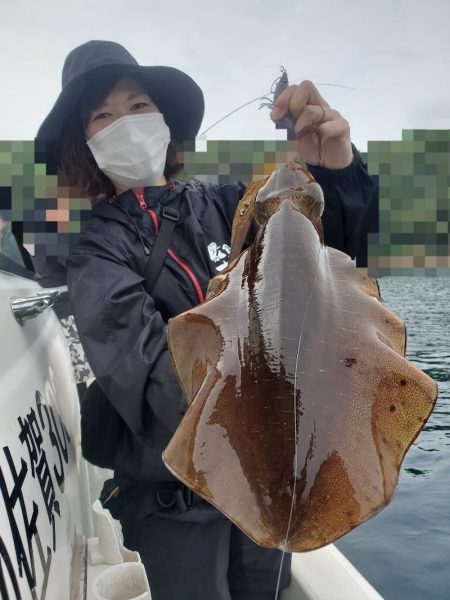 ソルトウォーターガイドフレンズ 釣果