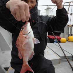 ありもと丸 釣果