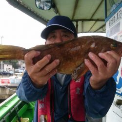 小島丸 釣果