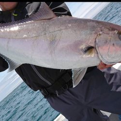 だて丸 釣果