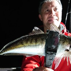 シースナイパー海龍 釣果