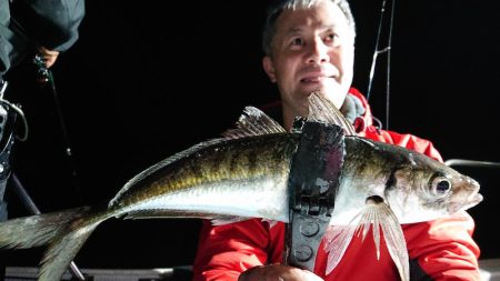 シースナイパー海龍 釣果