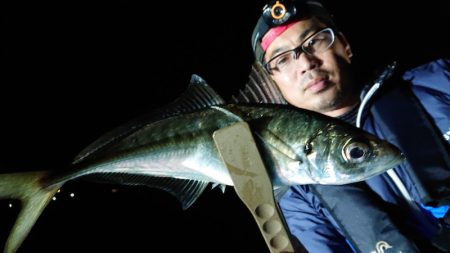 シースナイパー海龍 釣果