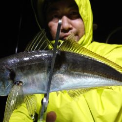 シースナイパー海龍 釣果