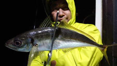 シースナイパー海龍 釣果