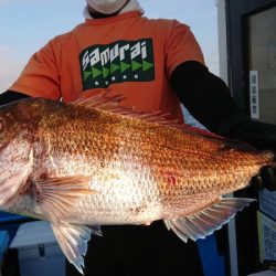 竹宝丸 釣果