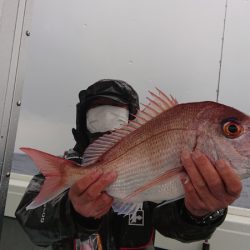 だて丸 釣果