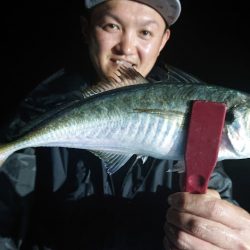 シースナイパー海龍 釣果