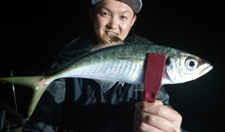 シースナイパー海龍 釣果