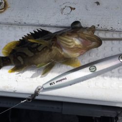 渡船屋たにぐち 釣果