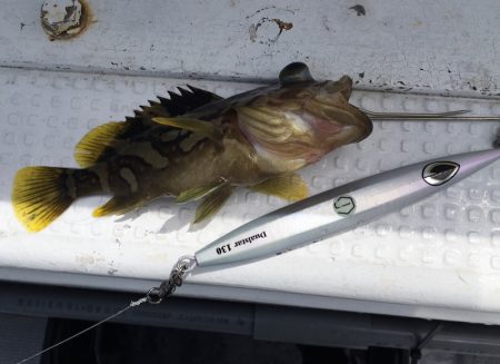 渡船屋たにぐち 釣果