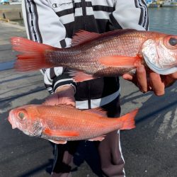 ぽん助丸 釣果