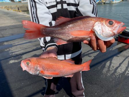 ぽん助丸 釣果