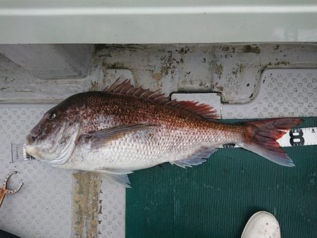 鷹王丸 釣果