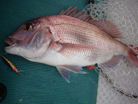 鷹王丸 釣果