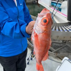 ぽん助丸 釣果