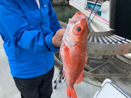 ぽん助丸 釣果